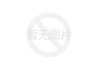 -金属装饰网系列